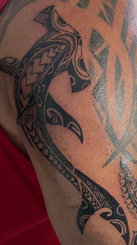 Polynesian turtle tattoo by Benson Carlos in tribal style on shoulder, Hawaii